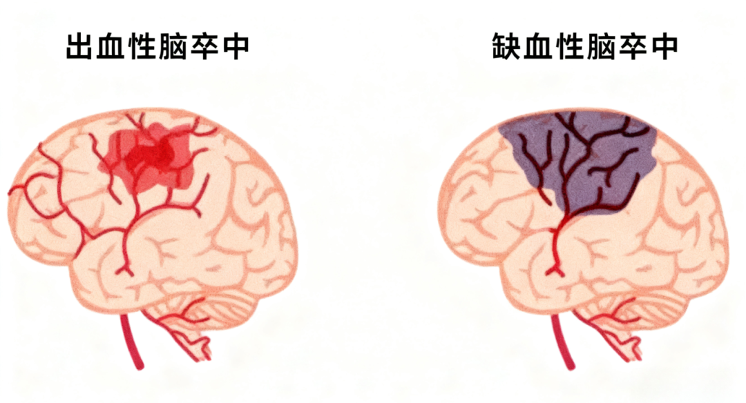 生成对比图.png